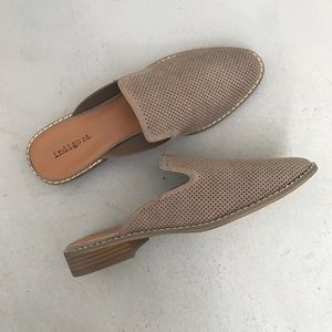 Indigo Roady Hayze Mule